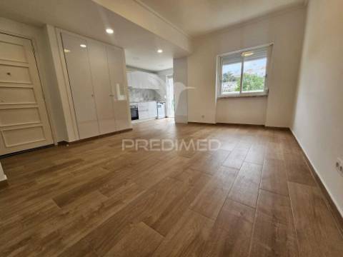 Apartamento benfica com espetacular  terraço