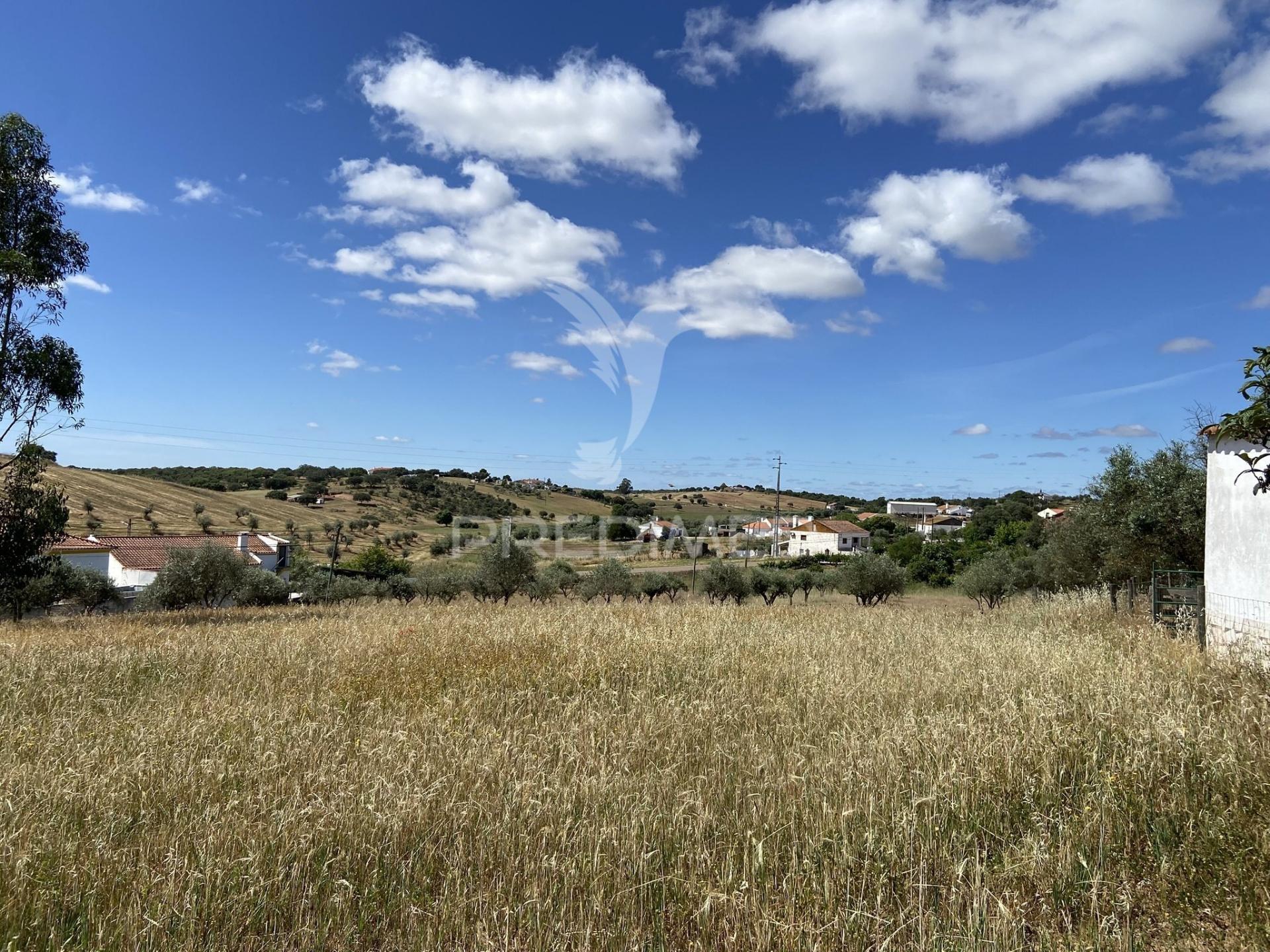 Moradia t2 com terreno misto de 7.500 m² – são brás dos matos, alandroal