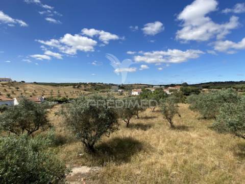 Moradia t2 com terreno misto de 7.500 m² – são brás dos matos, alandroal