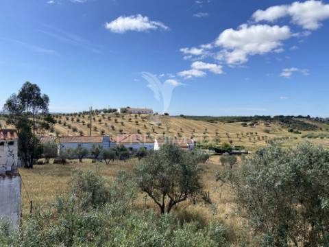 Moradia t2 com terreno misto de 7.500 m² – são brás dos matos, alandroal