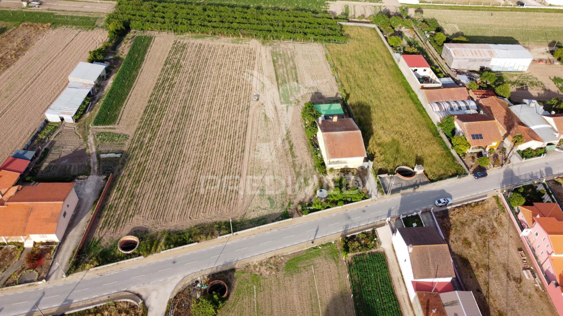 Lote em bolho (com 2032 m2 ), cantanhede