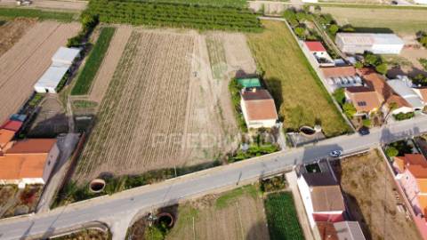 Lote em bolho (com 2032 m2 ), cantanhede