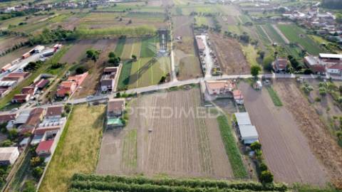 Lote em bolho (com 2032 m2 ), cantanhede
