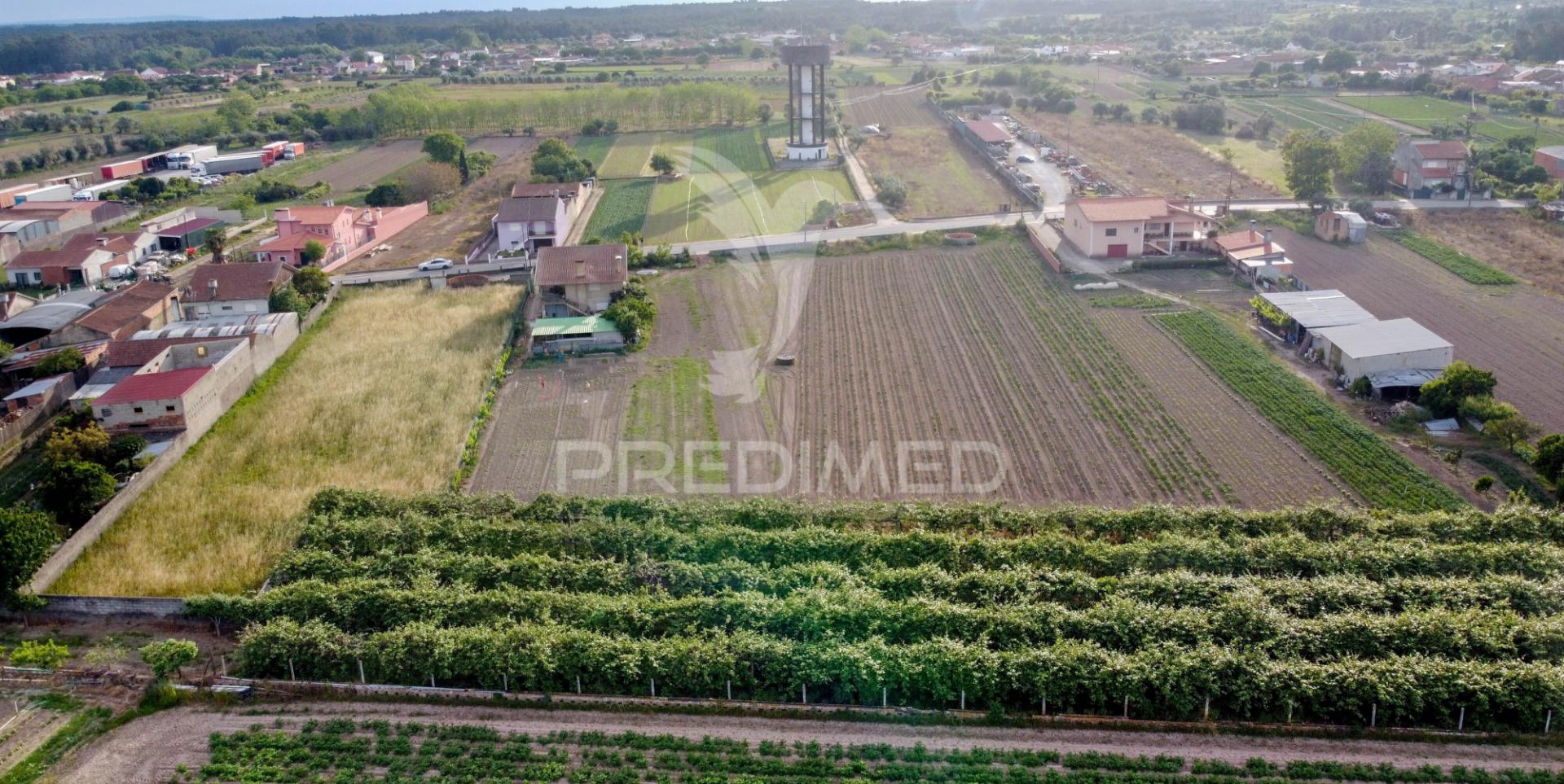 Lote em bolho (com 2032 m2 ), cantanhede