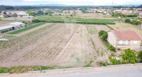 Lote em bolho (com 2032 m2 ), cantanhede