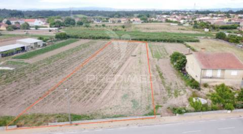 Lote em bolho (com 2032 m2 ), cantanhede