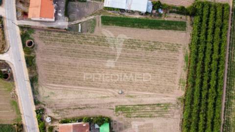 Lote em bolho (com 2032 m2 ), cantanhede