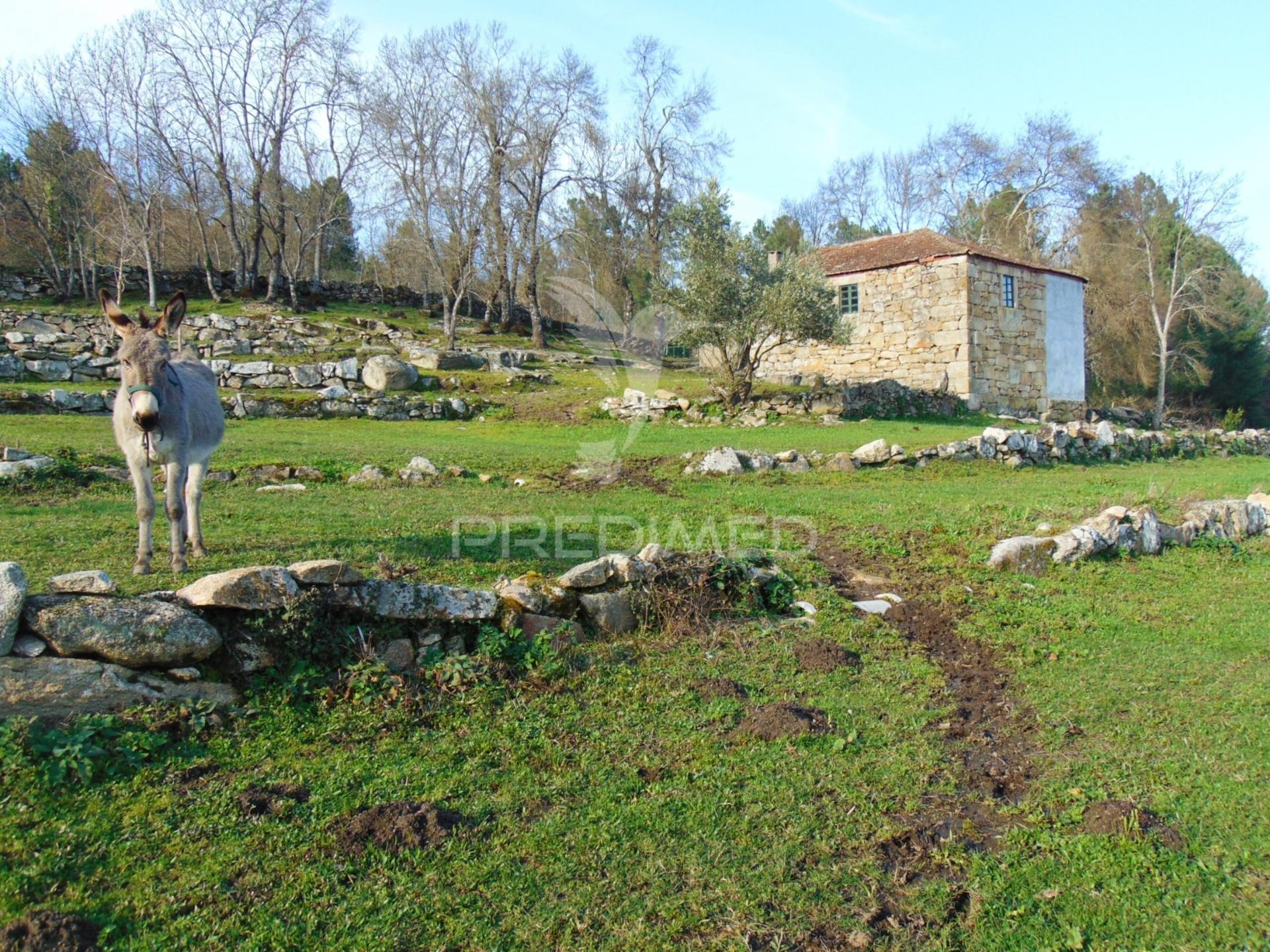 Quintinha p/ recuperar em torgueda - vila real