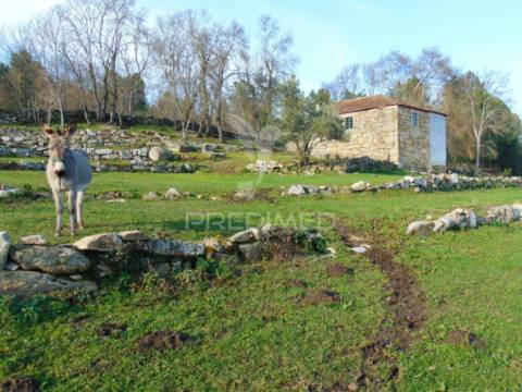 Quintinha p/ recuperar em torgueda - vila real