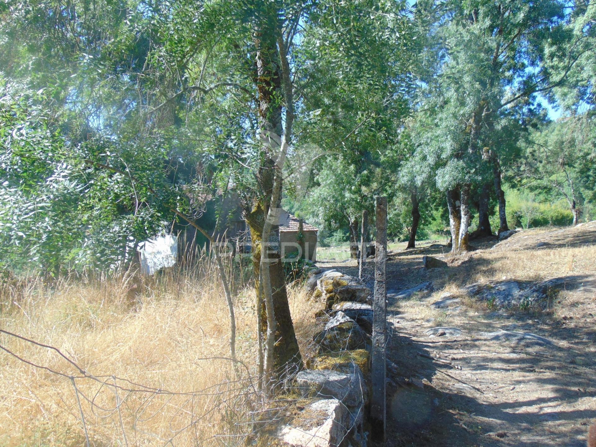 Quintinha p/ recuperar em torgueda - vila real