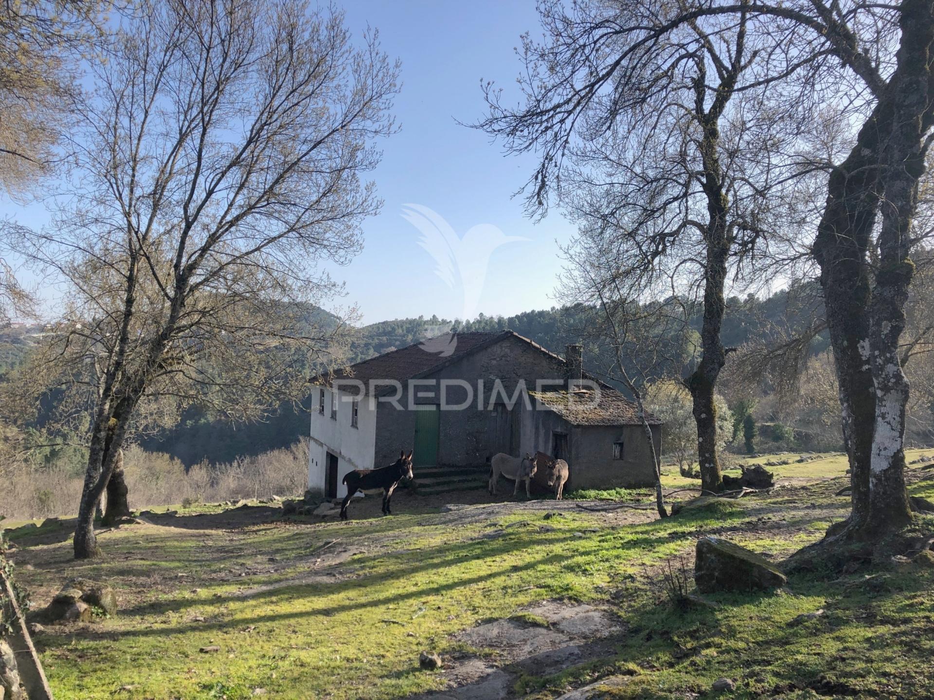 Quintinha p/ recuperar em torgueda - vila real
