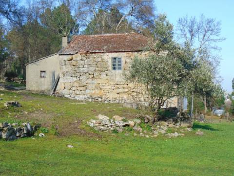 Quintinha p/ recuperar em torgueda - vila real