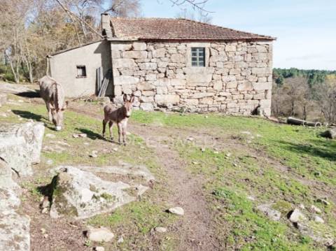 Quintinha p/ recuperar em torgueda - vila real
