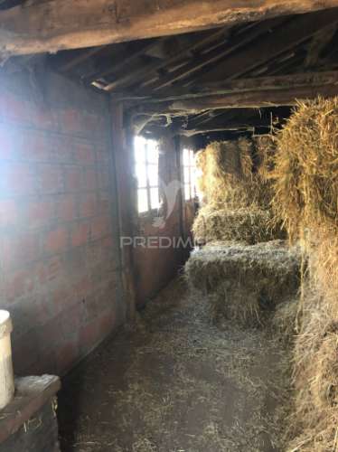 Quintinha p/ recuperar em torgueda - vila real