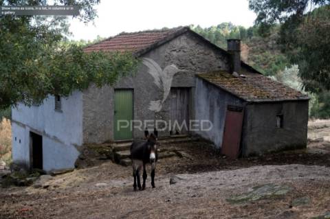 Quintinha p/ recuperar em torgueda - vila real