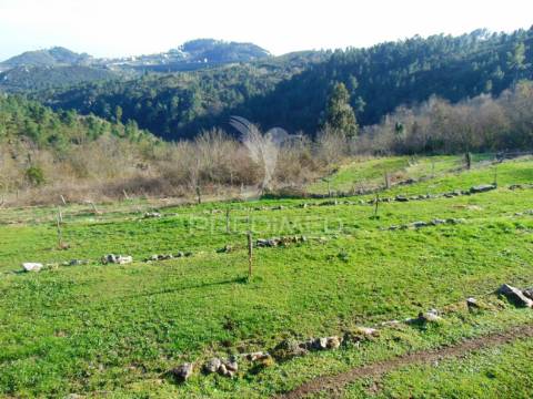 Quintinha p/ recuperar em torgueda - vila real