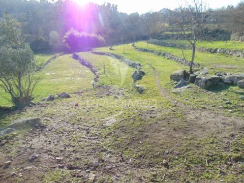 Quintinha p/ recuperar em torgueda - vila real