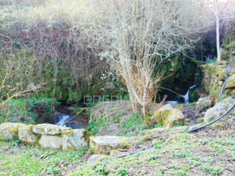 Quintinha p/ recuperar em torgueda - vila real