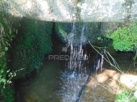 Quintinha p/ recuperar em torgueda - vila real