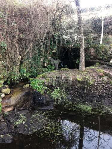 Quintinha p/ recuperar em torgueda - vila real