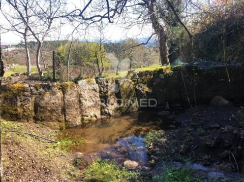 Quintinha p/ recuperar em torgueda - vila real