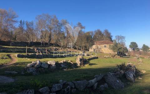Quintinha p/ recuperar em torgueda - vila real