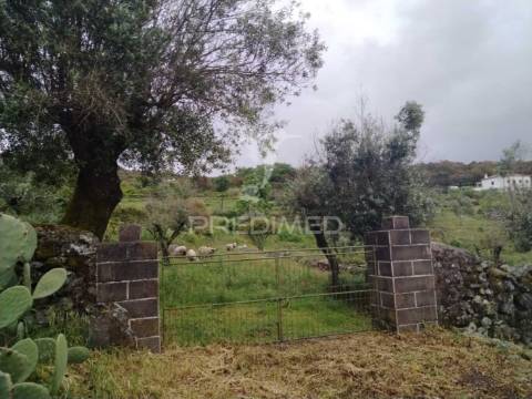 Terreno com vista deslumbrante nas carreiras – portalegre