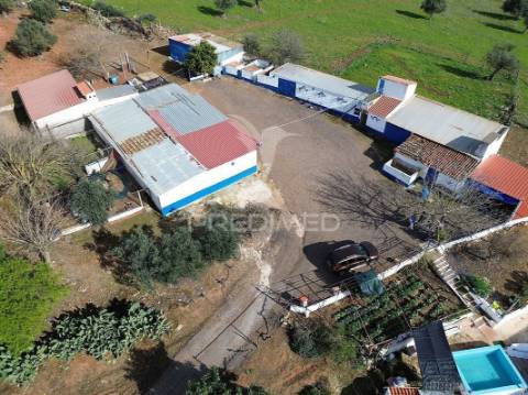 Quinta com 5825mts2 no vedor, elvas