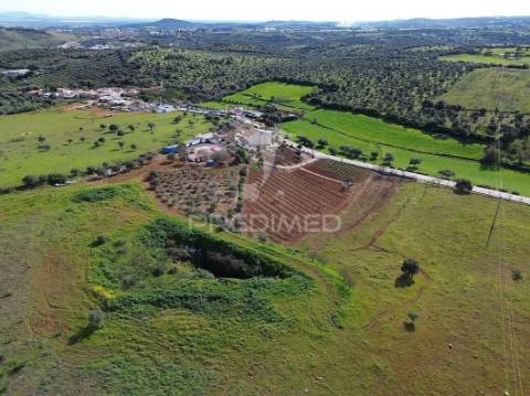 Quinta com 5825mts2 no vedor, elvas