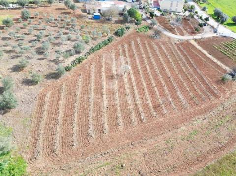 Quinta com 5825mts2 no vedor, elvas