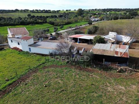 Quinta com 5825mts2 no vedor, elvas