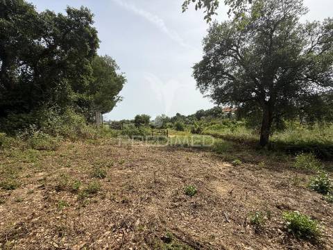 Moradia t2 para recuperar  - santarém