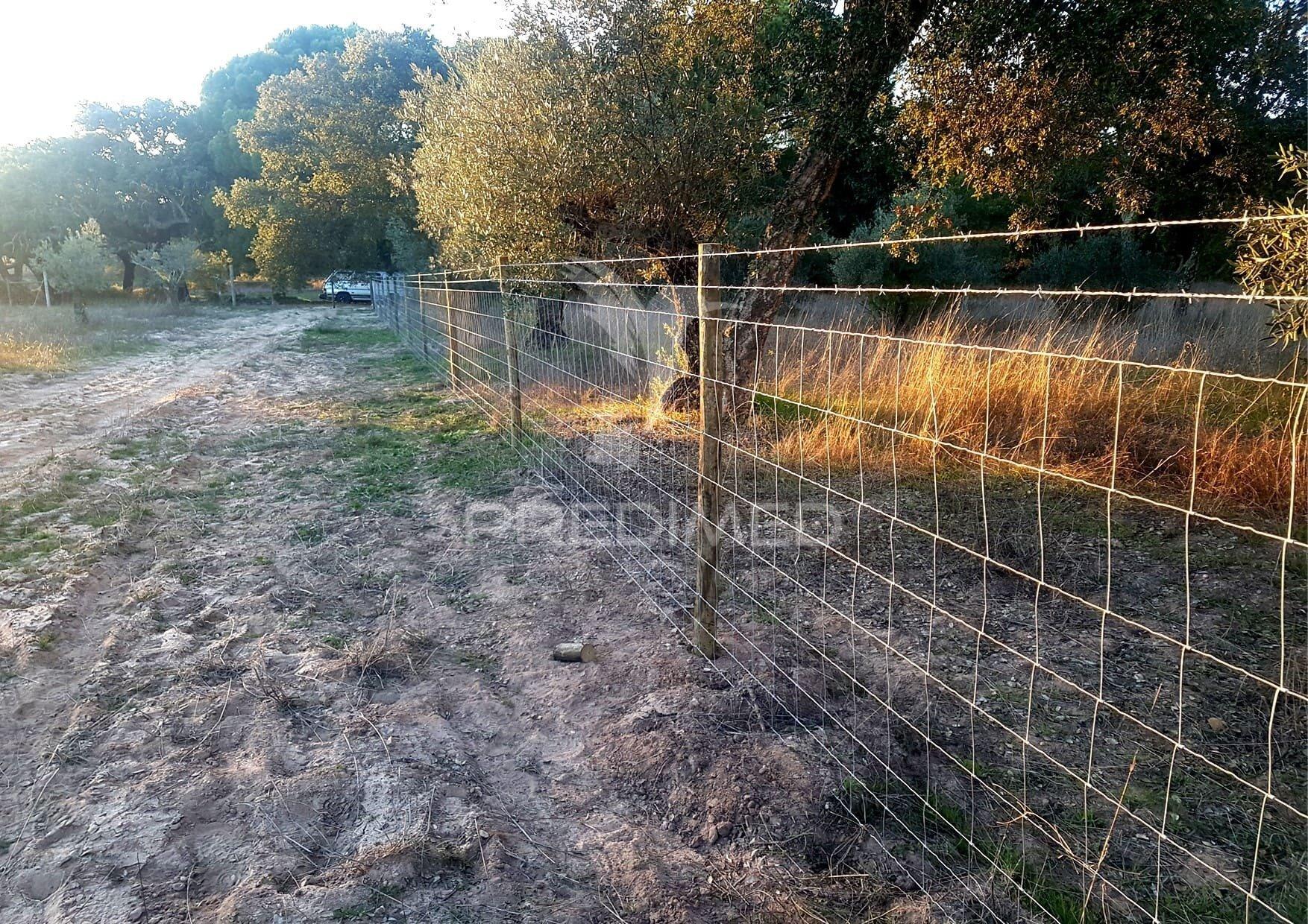 Terreno rustico com viabilidade de construção