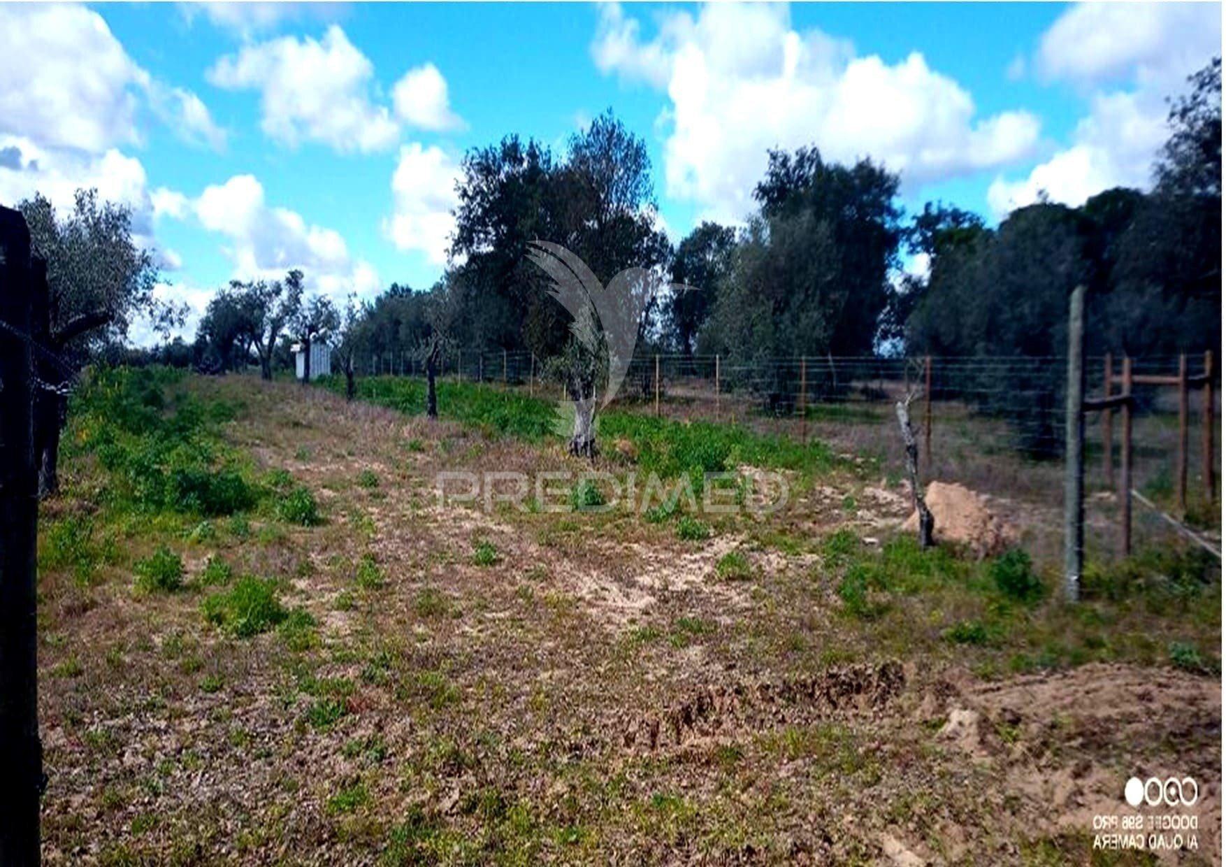 Terreno rustico com viabilidade de construção