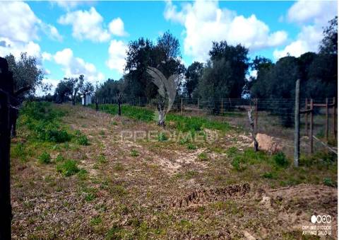 Terreno rustico com viabilidade de construção