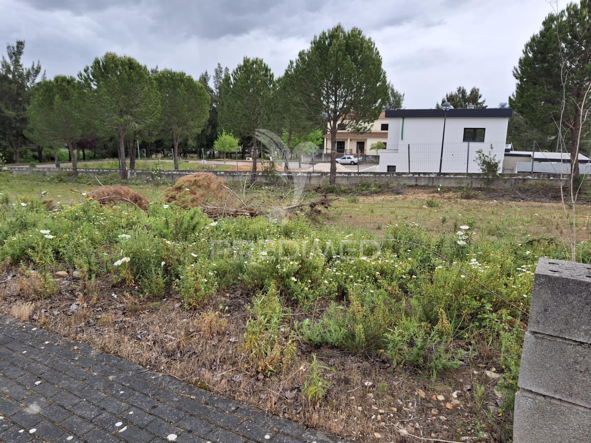 Lote de moradia