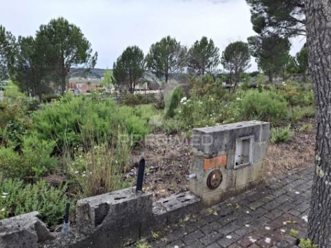 Lote de moradia