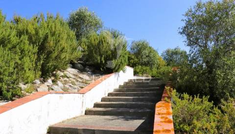 Lote de moradia