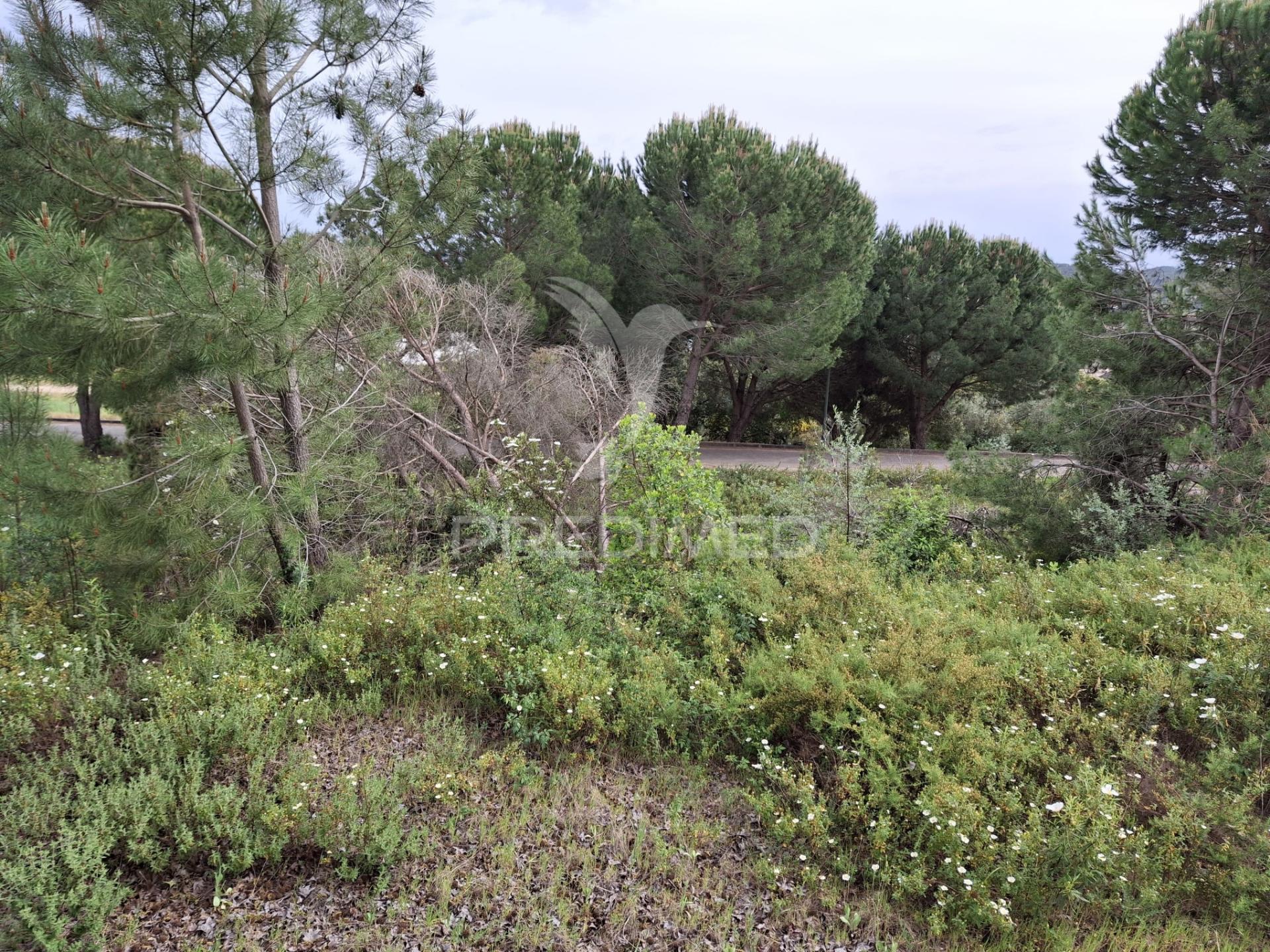 Lote de moradia