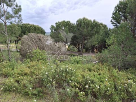 Lote de moradia