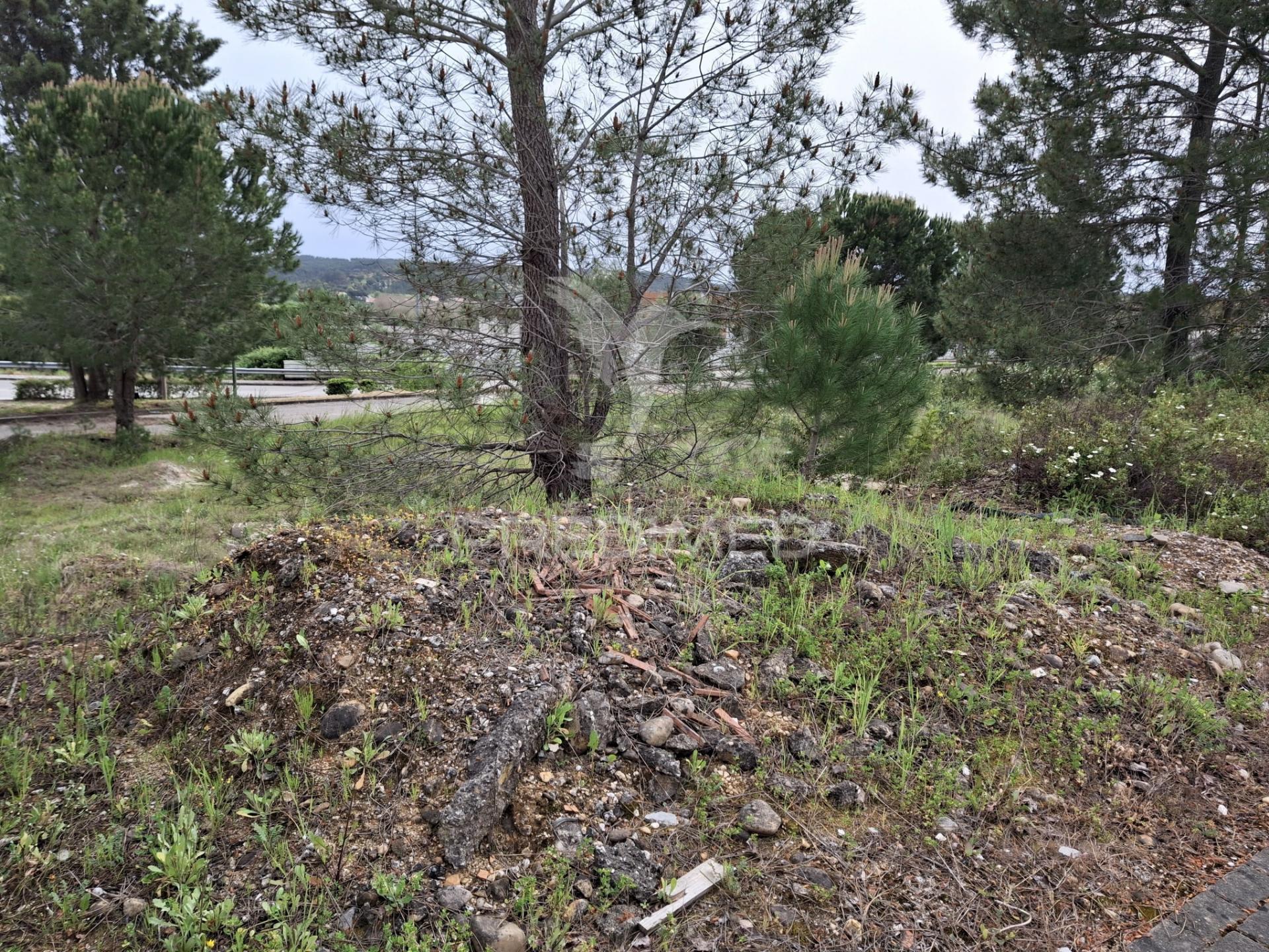 Lote de moradia