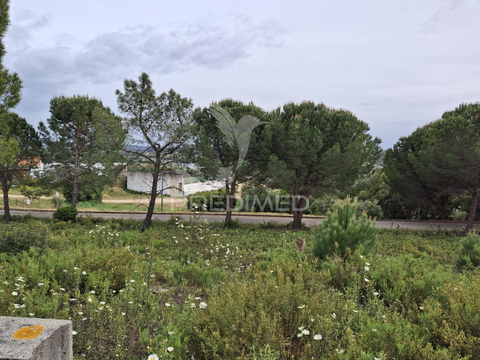 Lote de moradia