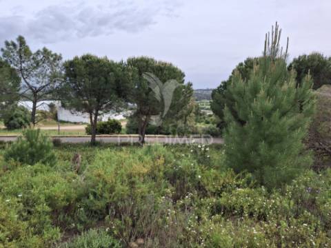 Lote de moradia