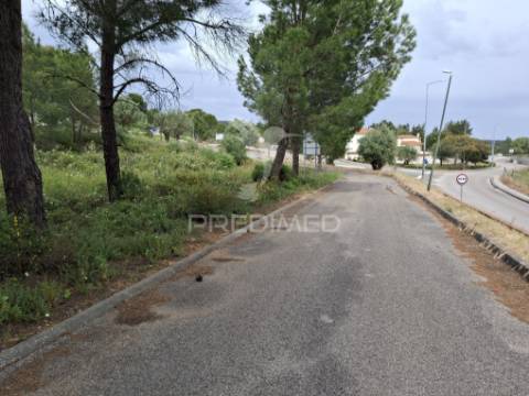 Lote de moradia