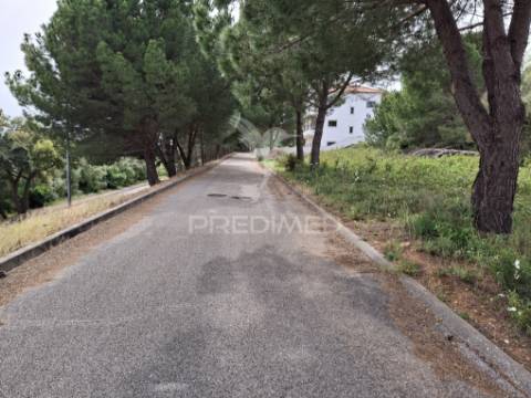 Lote de moradia