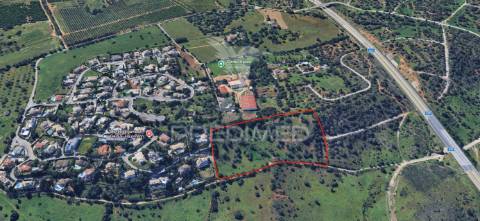 Terreno misto 24.680m2 belmonte