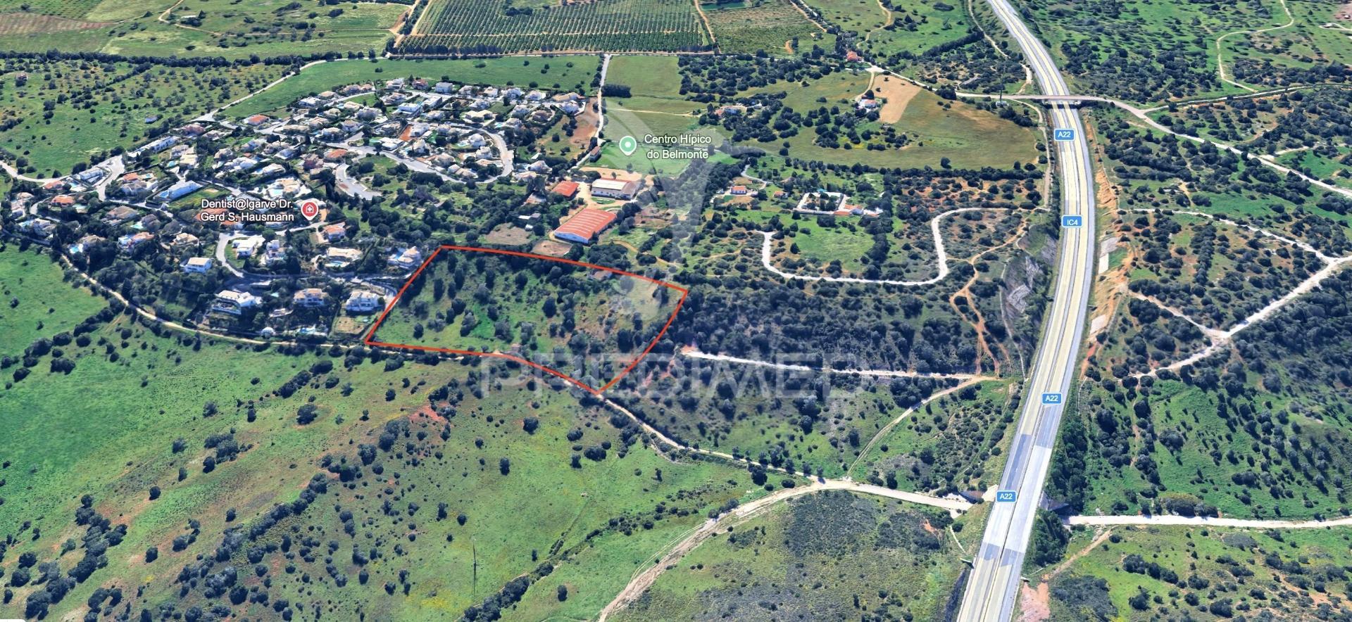 Terreno misto 24.680m2 belmonte
