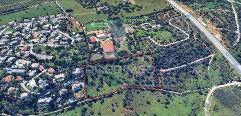 Terreno misto 24.680m2 belmonte