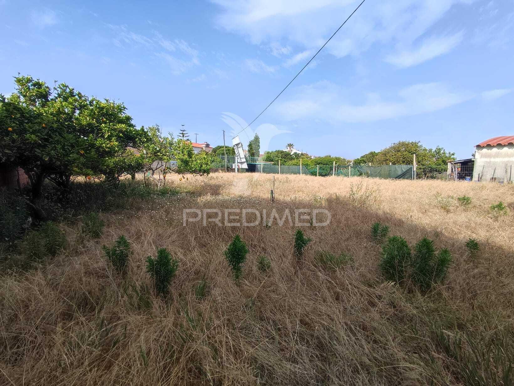 Moradia para reconstrução | terreno 1.550 m² | gafanha da nazaré | potencial construtivo