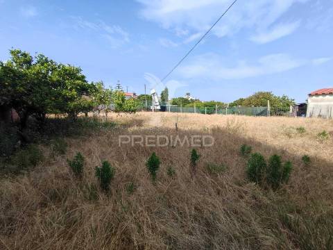 Moradia para reconstrução | terreno 1.550 m² | gafanha da nazaré | potencial construtivo